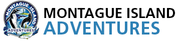 Montague Island Adventures & Charter Fish Narooma logo