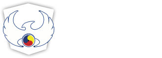 Martial Arts Spirit logo