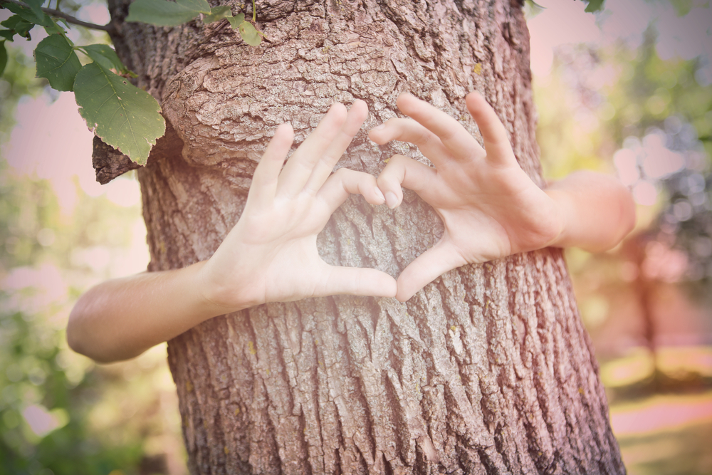 Tree Services Pasadena logo