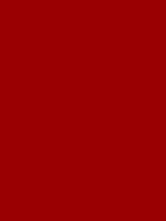 Foxmag logo