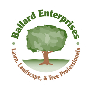 Ballard Enterprises logo