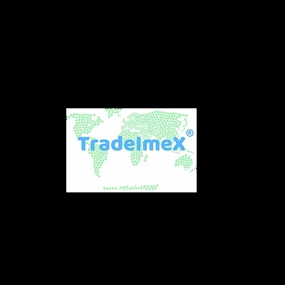 Tradeimex Info Solution Private Limited logo