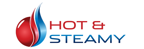 Hot and steamy limited logo