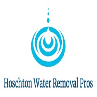 Hoschton Water Removal Pros logo