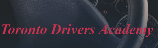 Toronto Driving Academy logo