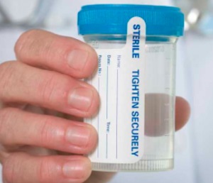 Clear Drug Tests- How To Pass A Urine, Hair, Blood and Saliva Test logo