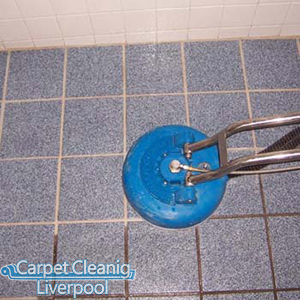 Carpet Cleaning Waverton CH3 logo