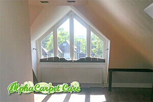 Alpha Carpet Care logo