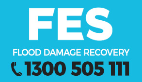 Flood Emergency Services Group PTY Limited logo