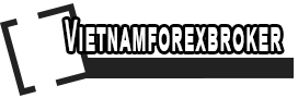 VietnamForexBroker logo