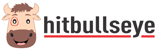 Hitbullseye logo
