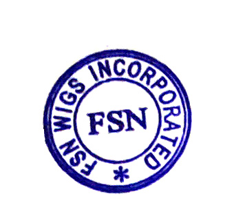 Best human hair wigs and hair manufacture of China-FSN logo