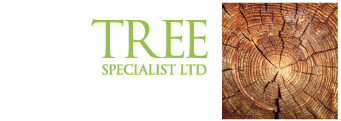 JF Tree Specialists Ltd logo