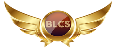 Black Livery Car Services logo