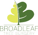 Broadleaf Tree Surgery Limited logo