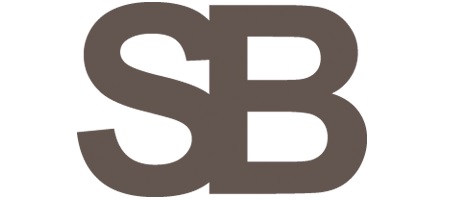 Steel Blaze logo