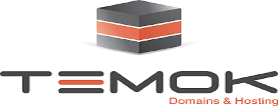 Temok IT Services DMCC logo