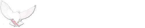 Saving Plumbing logo