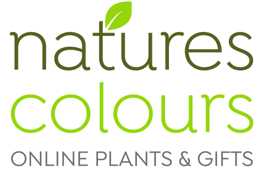 Natures Colours Nursery logo