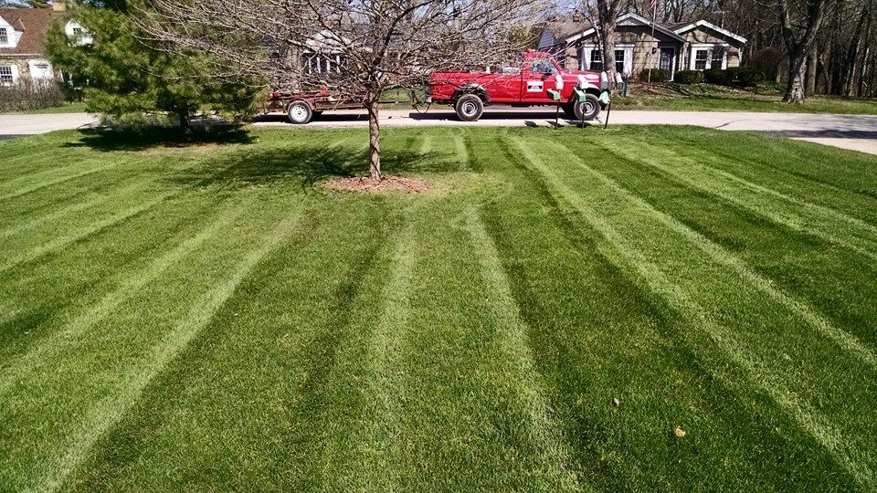 GreenPal Lawn Care of Cleveland logo