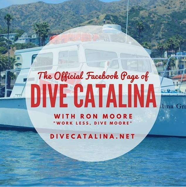 Ron Moore's Dive Catalina logo
