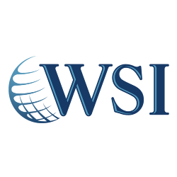 WSI Digital Marketing logo