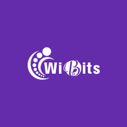 Wibits Web Solutions logo