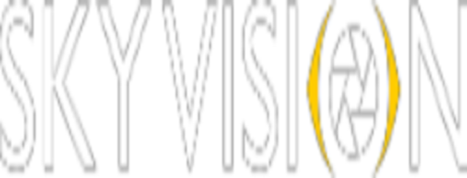 Sky Vision logo