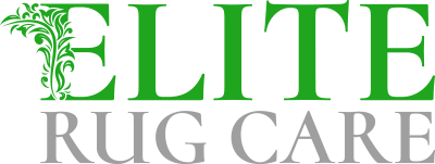 Rug Cleaning Wall Street logo