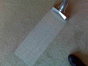 Carpet Cleaning Croxteth Park Estate L12 logo