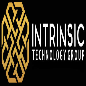 Intrinsic Technology Group logo