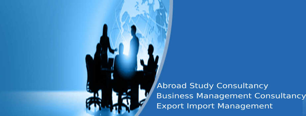 Delta Consulting- Study abroad & Business Management Consultancy logo