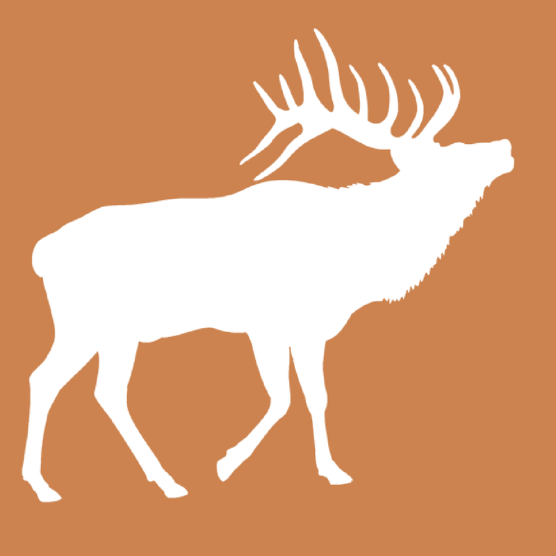 Colorado Web Impressions logo