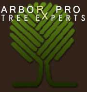 Arbor-Pro Tree Experts logo