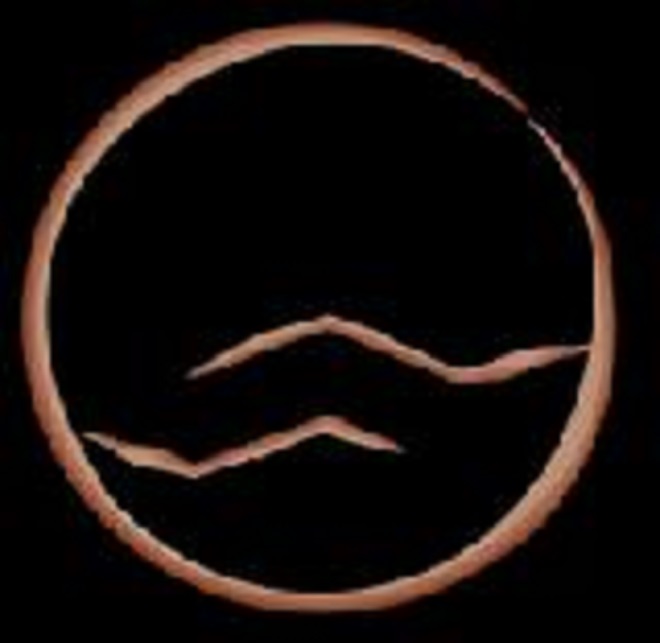 Sasha Reiko Photography logo