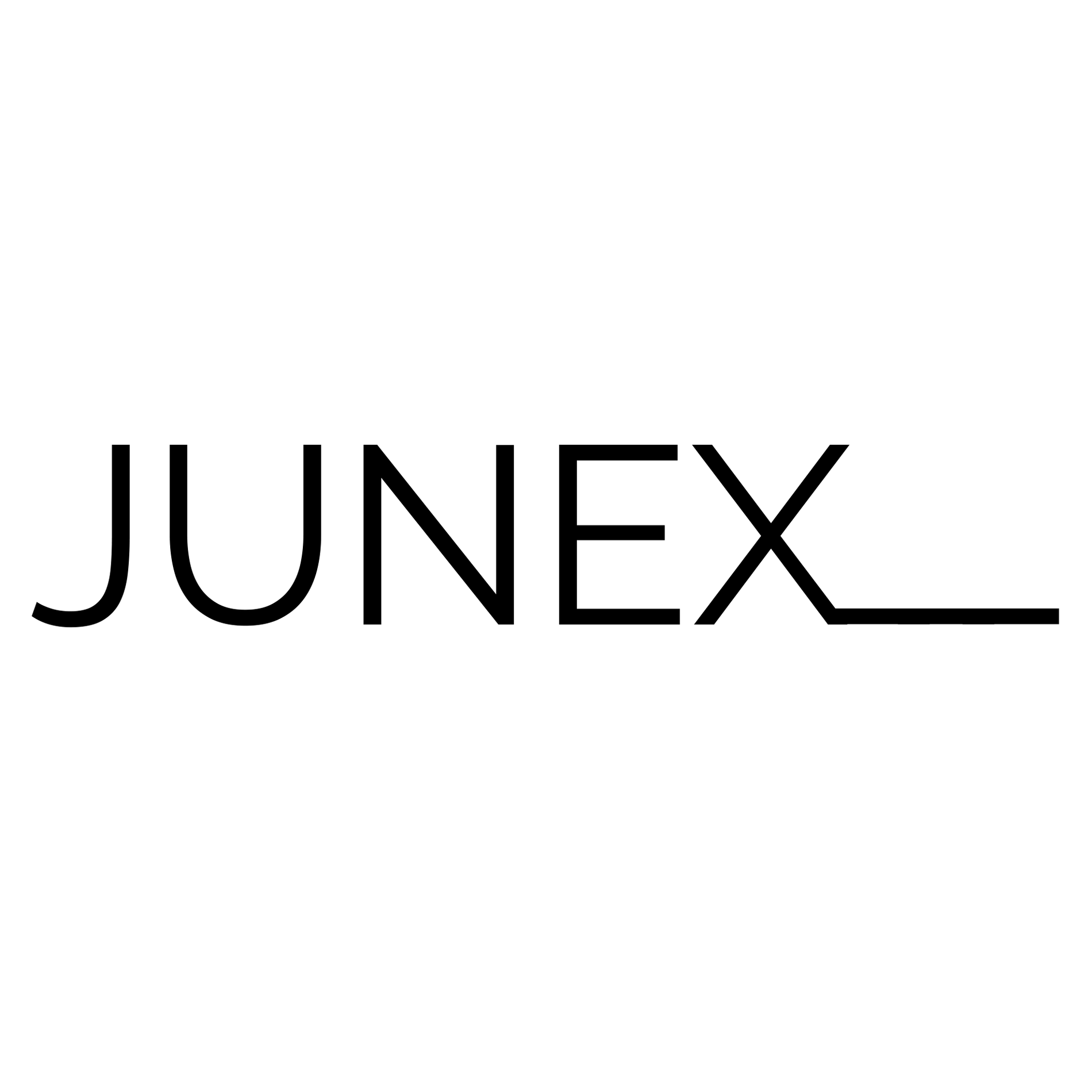 Junex Web Development and Digital Marketing logo