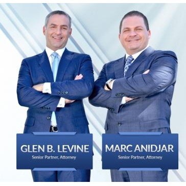 The Law Firm of Anidjar & Levine logo