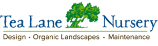 Tea Lane Nursery logo