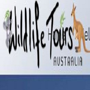 Wildlife Tours logo