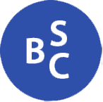 BestSEOCompany.info, LLC logo