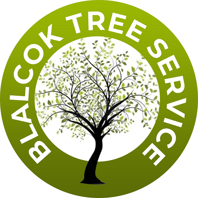 Blalock Tree Service logo