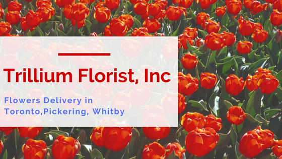 Trillium Florist, Inc. logo