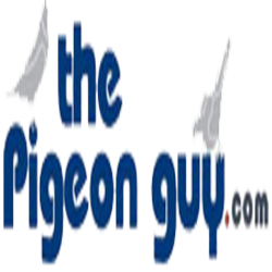 The Pigeon Guy logo