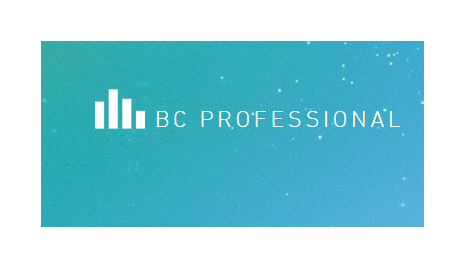 BC PROFESSIONAL logo