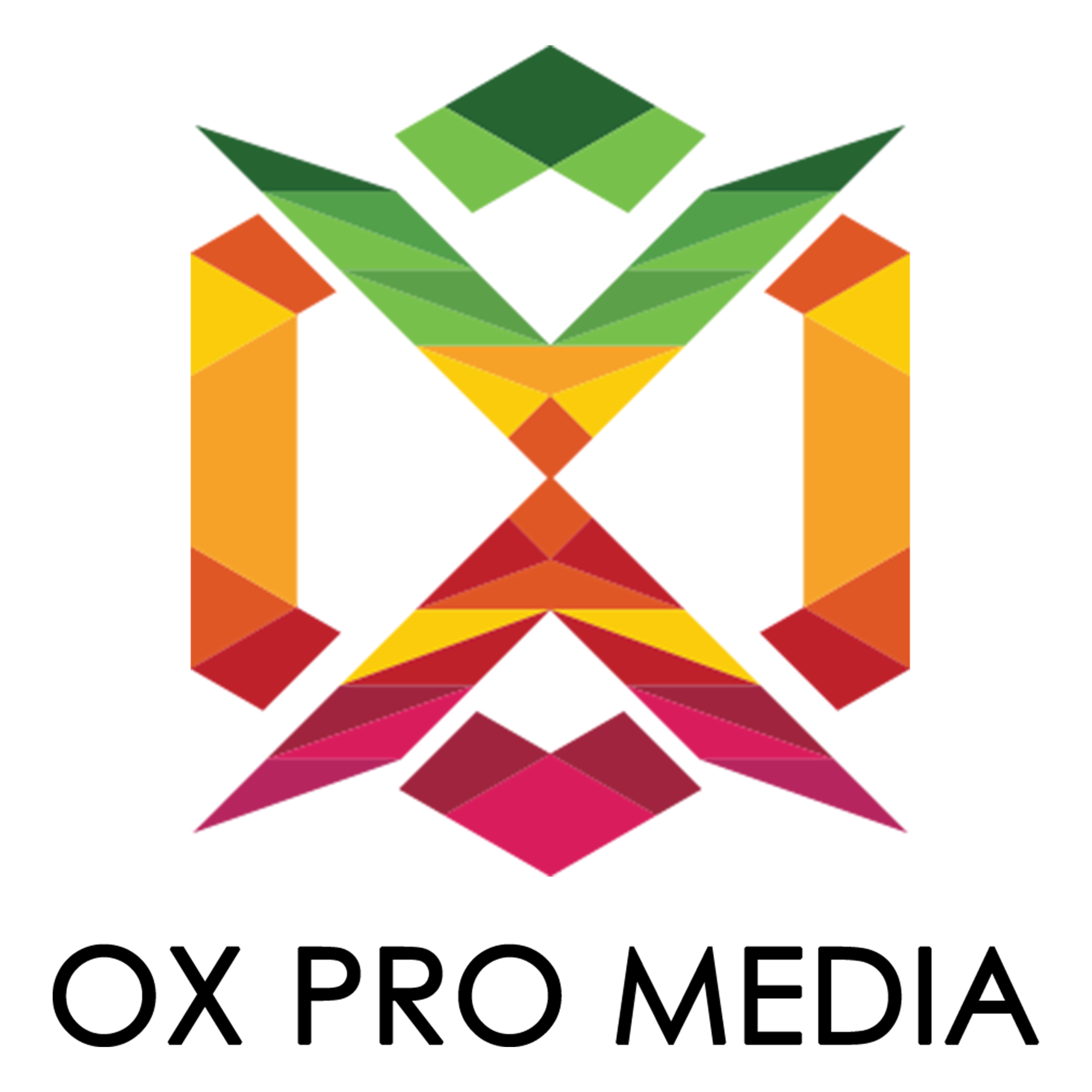 Ox Pro Media - Digital Marketing Agency logo