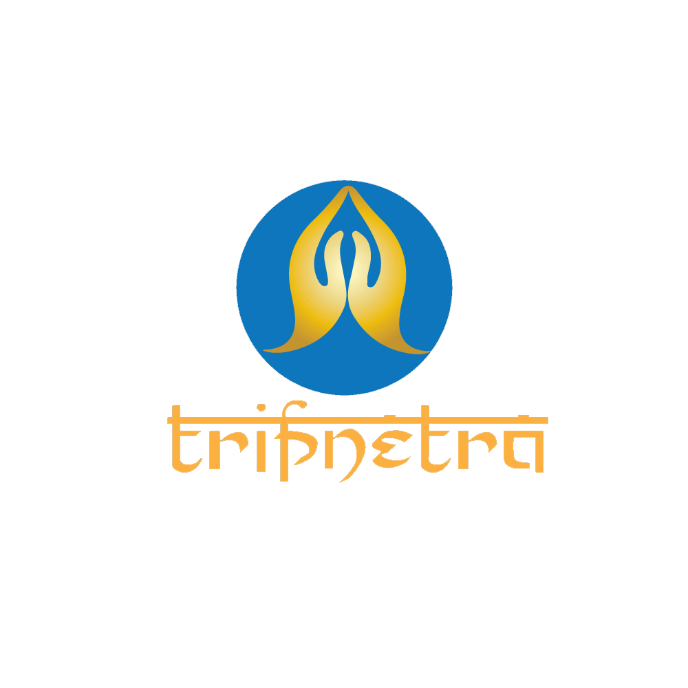 Tripnetra logo
