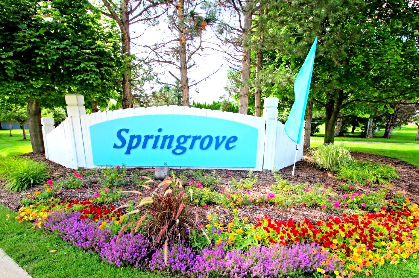 Springrove logo