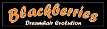 Black Berries Dream Hair logo