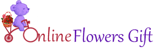 onlineflowersgift.com logo