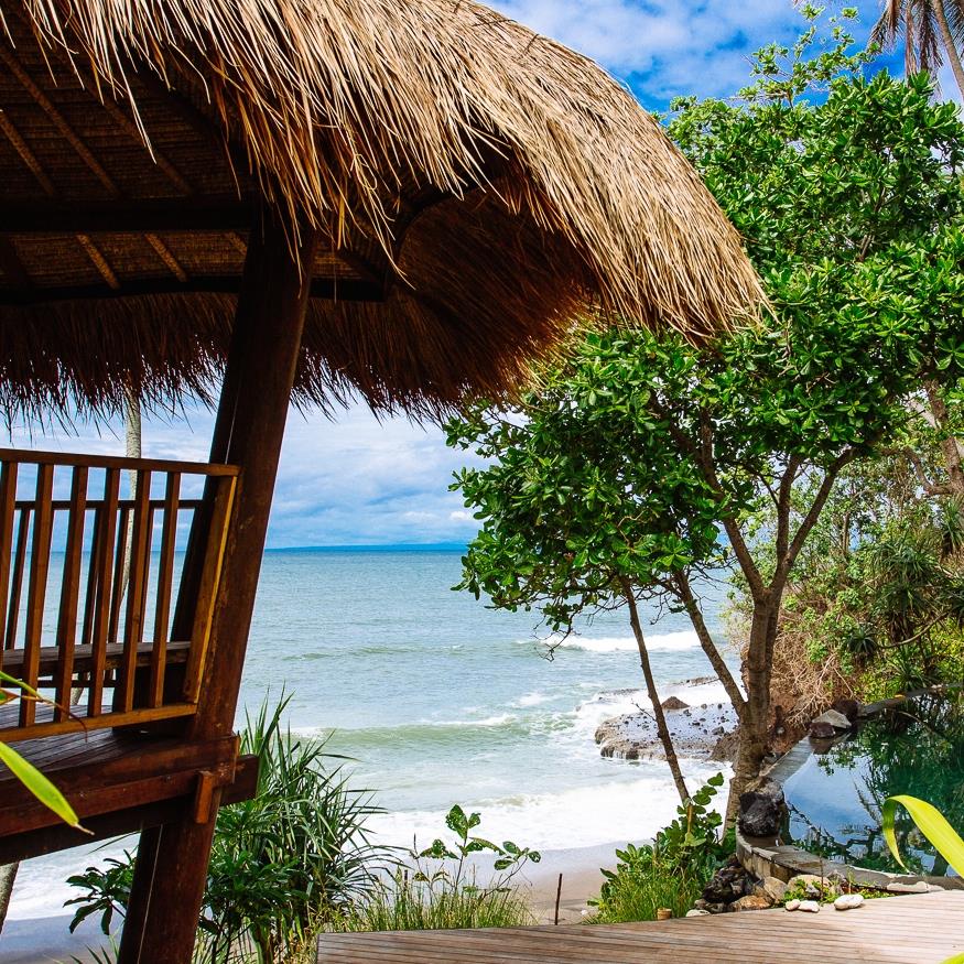 The Cove Bali logo